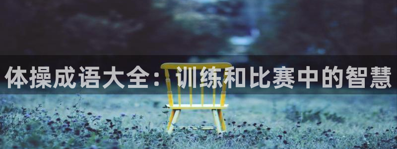 MK体育官网下载平台假的吗是真的吗吗:体操成语大全:训练和比