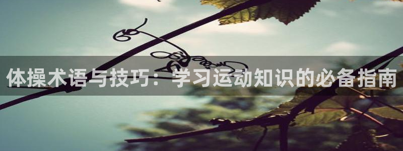 MK体育官网下载注册:体操术语与技巧:学习运动知识的必备指南